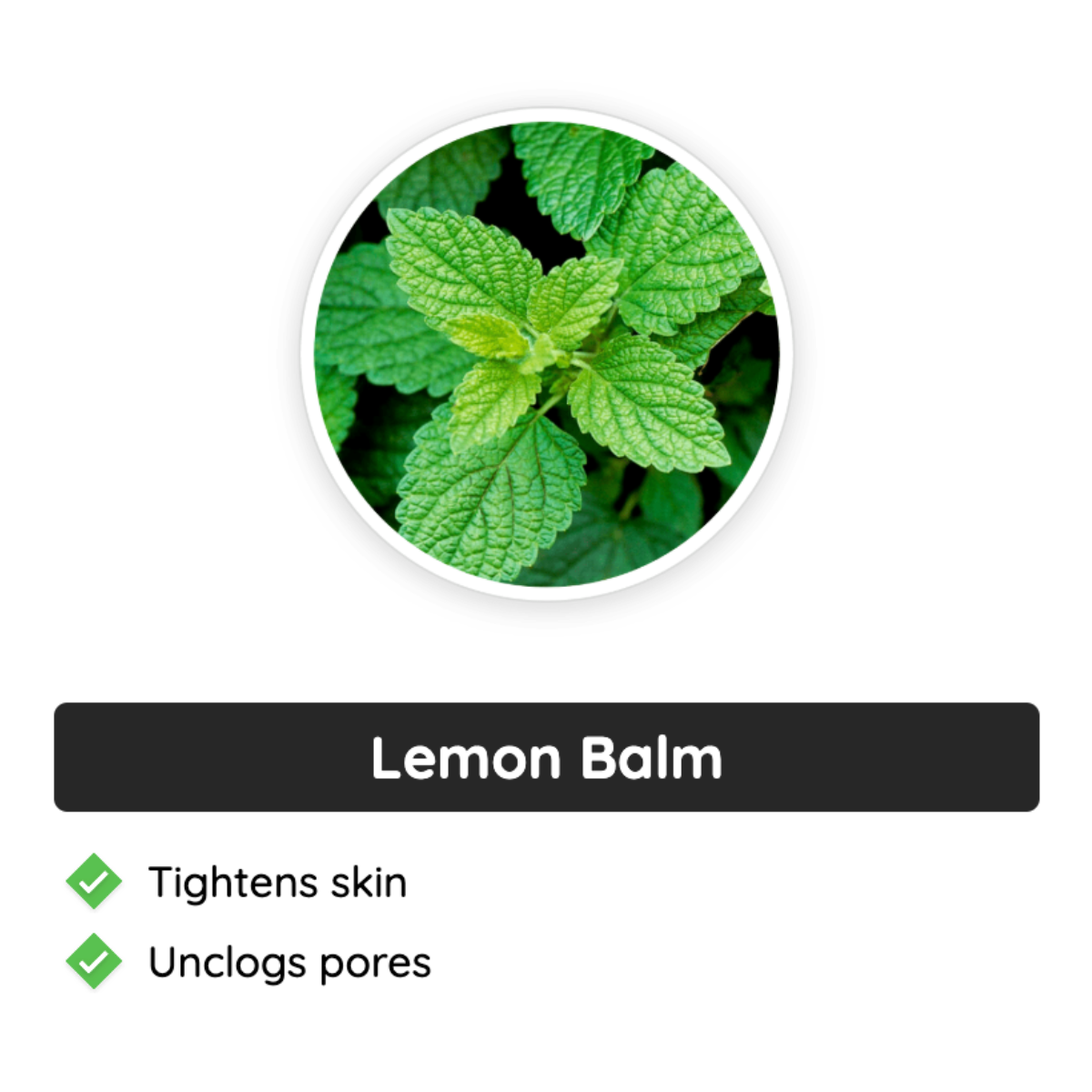 Neotonics Ingredients - Lemon Balm